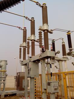 365速发国际(中国)官方网站